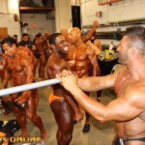 2013 Bodybuilding Images