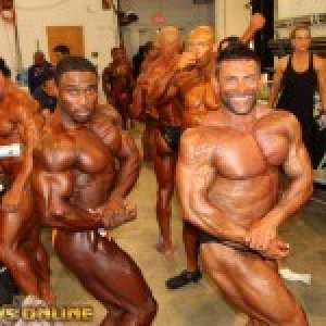 2013 Bodybuilding Images