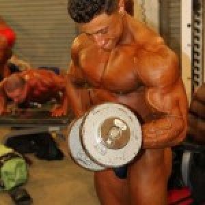 2013 Bodybuilding Images