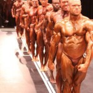 2013 Bodybuilding Images