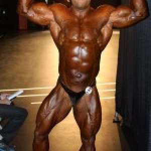 2013 Bodybuilding Images