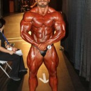 2013 Bodybuilding Images