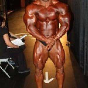 2013 Bodybuilding Images