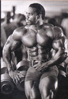 flexwheeler3-1.jpg