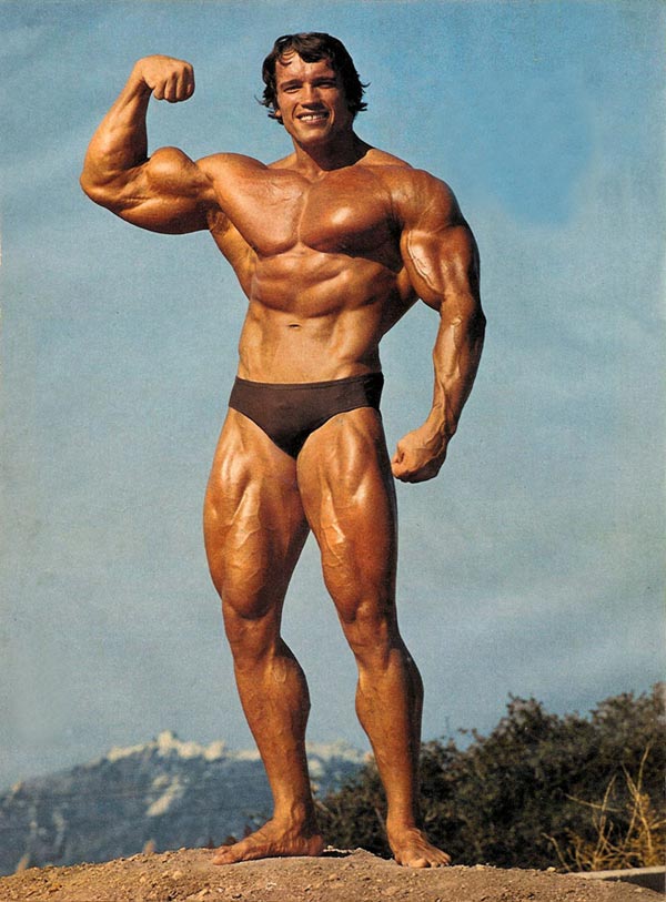 ArnoldSchwarzeneggerPicture-1.jpg