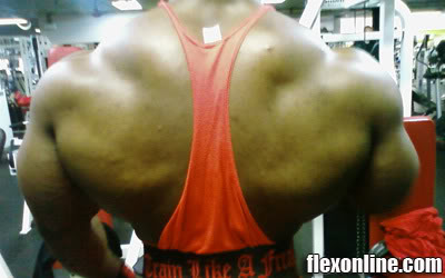 guessbackblog-1.jpg