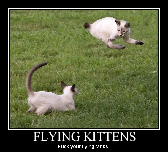flyingcats-1.jpg