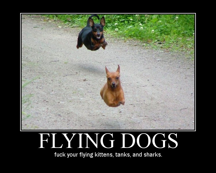 flyingdogs-1.jpg