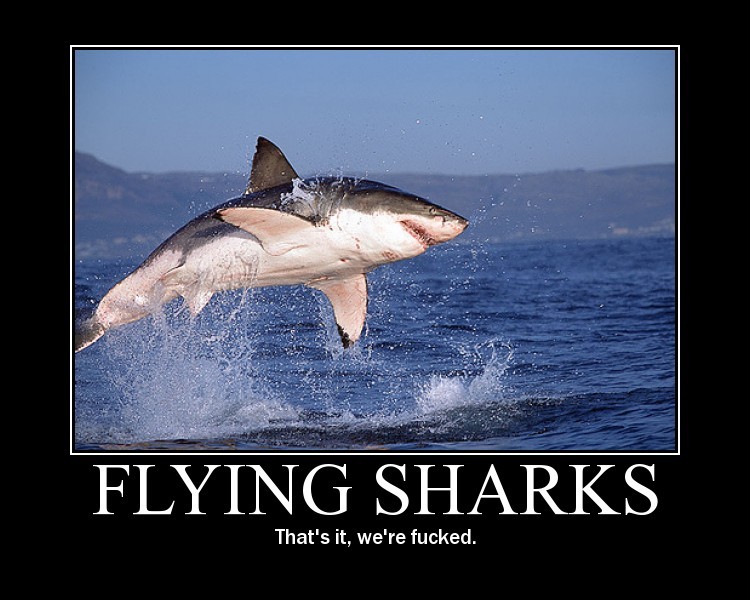 flyingsharks-1.jpg