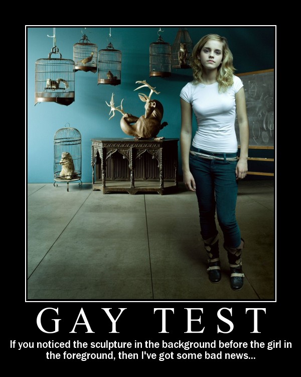 gaytest-1.jpg