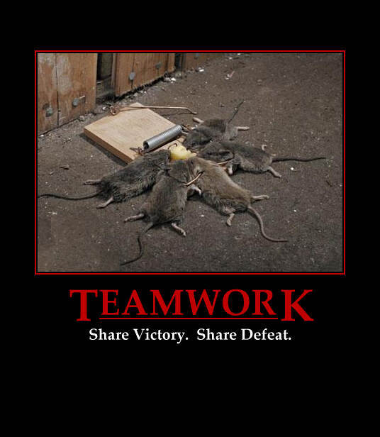 teamwork-1.jpg