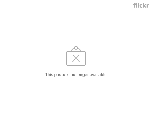 503829144_3bd81761d4-1.jpg