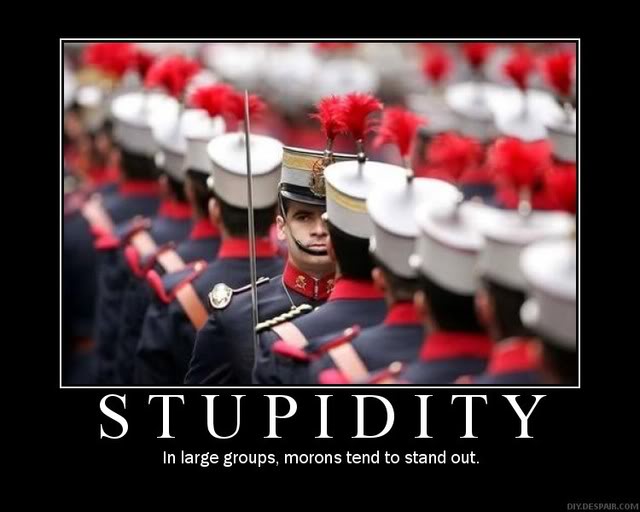 stupidity-1.jpg