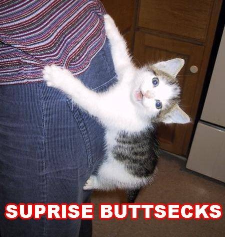 surprisebuttsecks-1.jpg