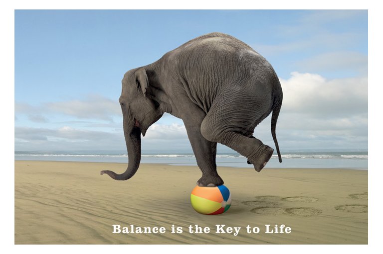 elephantbalance-1.jpg
