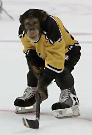 ice_hockey_monkey-1.jpg