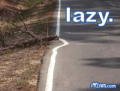 lazyroad-1.jpg