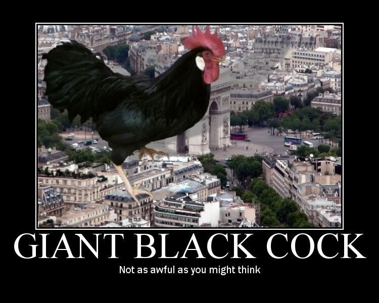 GiantBlackCock-1.jpg