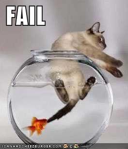 funnypicturecatfail-1.jpg