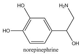 norepinephrine_IUPAC-1.jpg