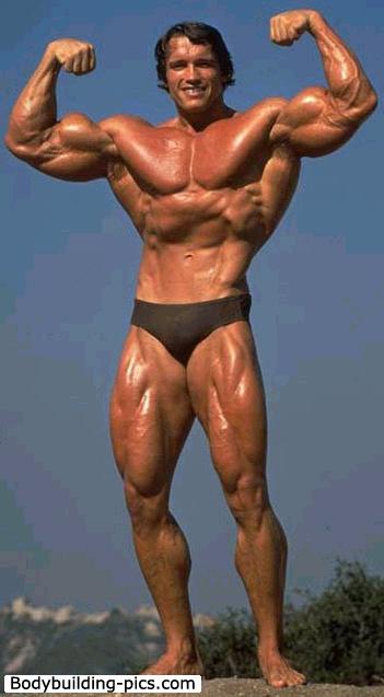 Arnold_Schwarzenegger_872-1.jpg