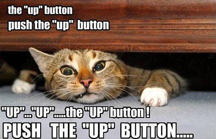 upbutton-1.jpg