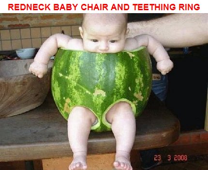 redneckbabychair-1.jpg