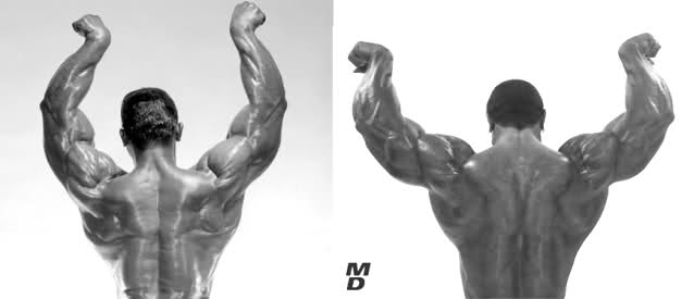 Sergio Oliva senior vs...