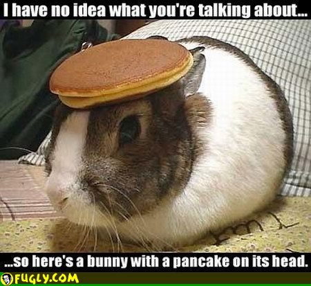 bunnypancake-1.jpg