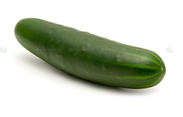 cucumber-1.jpg