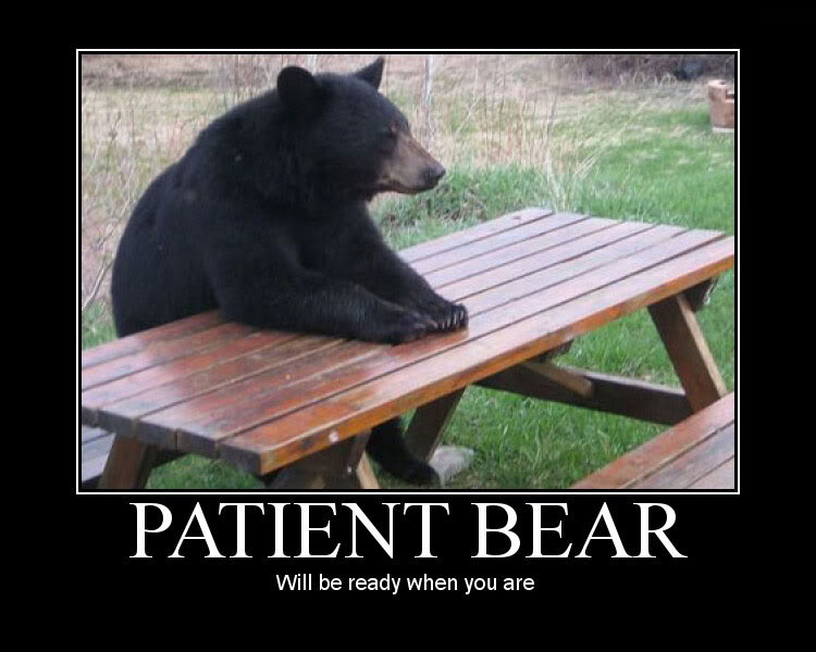 patientbear-1.jpg