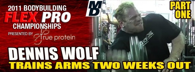 wolf_arms1_flex_rot-1.jpg