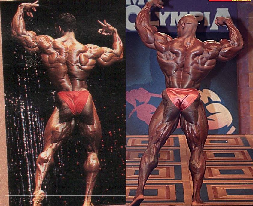 Flex Wheeler спина