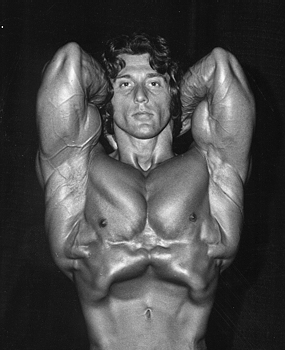 frankzane2-1.png