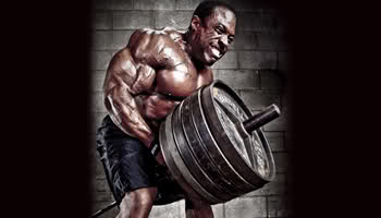 2010 Bodybuilding Images