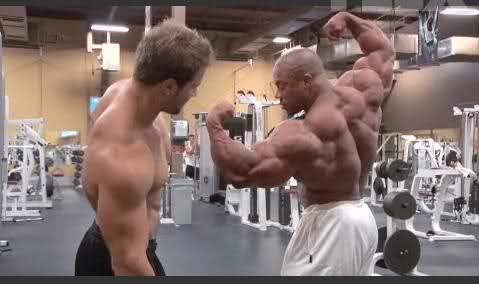 2010 Bodybuilding Images