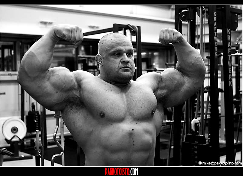 2010 Bodybuilding Images