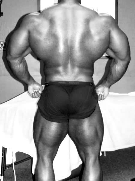 2010 Bodybuilding Images