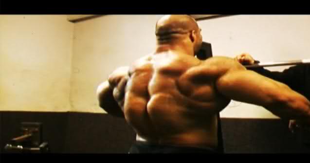 2010 Bodybuilding Images