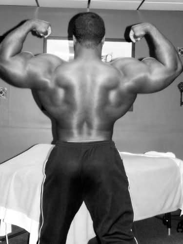 2010 Bodybuilding Images