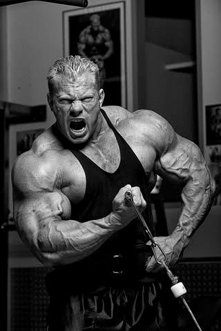 2010 Bodybuilding Images