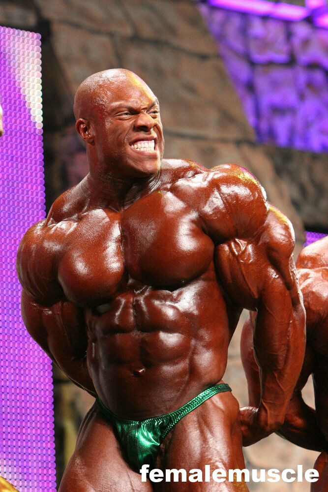 2010 Bodybuilding Images