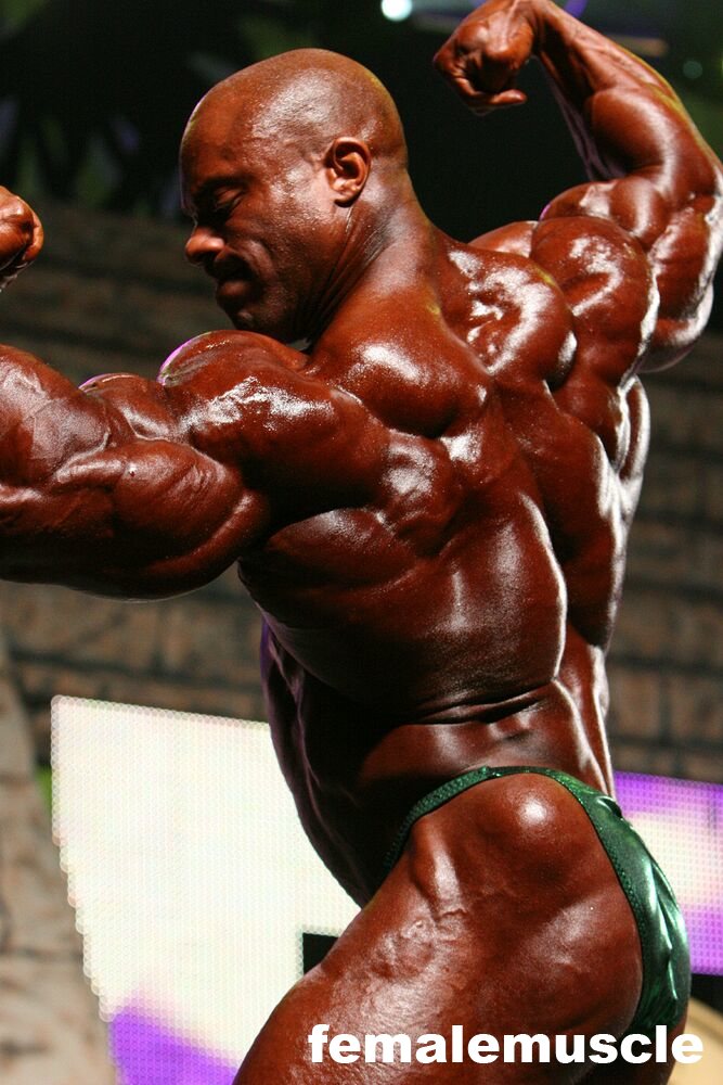 2010 Bodybuilding Images