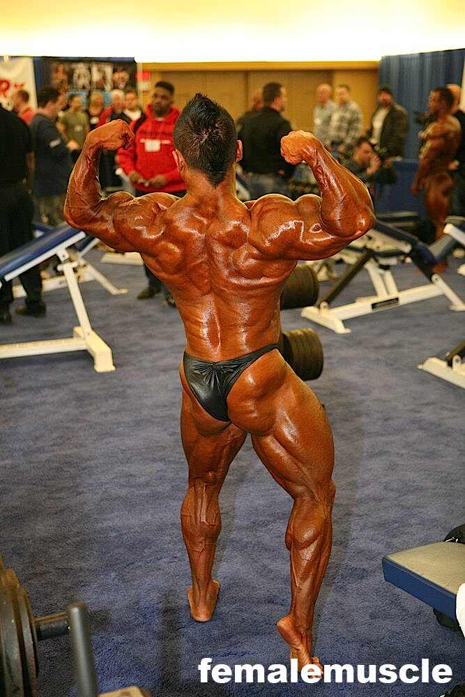 2010 Bodybuilding Images