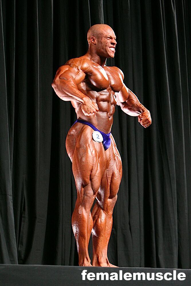 2010 Bodybuilding Images