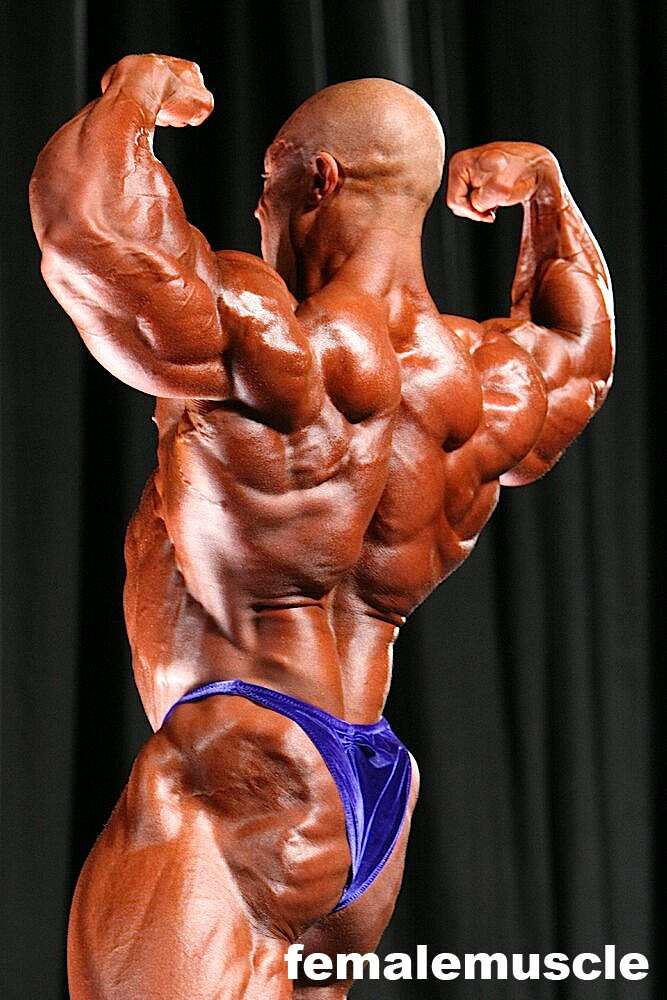 2010 Bodybuilding Images