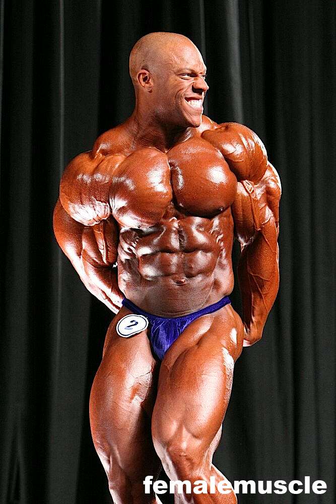 2010 Bodybuilding Images