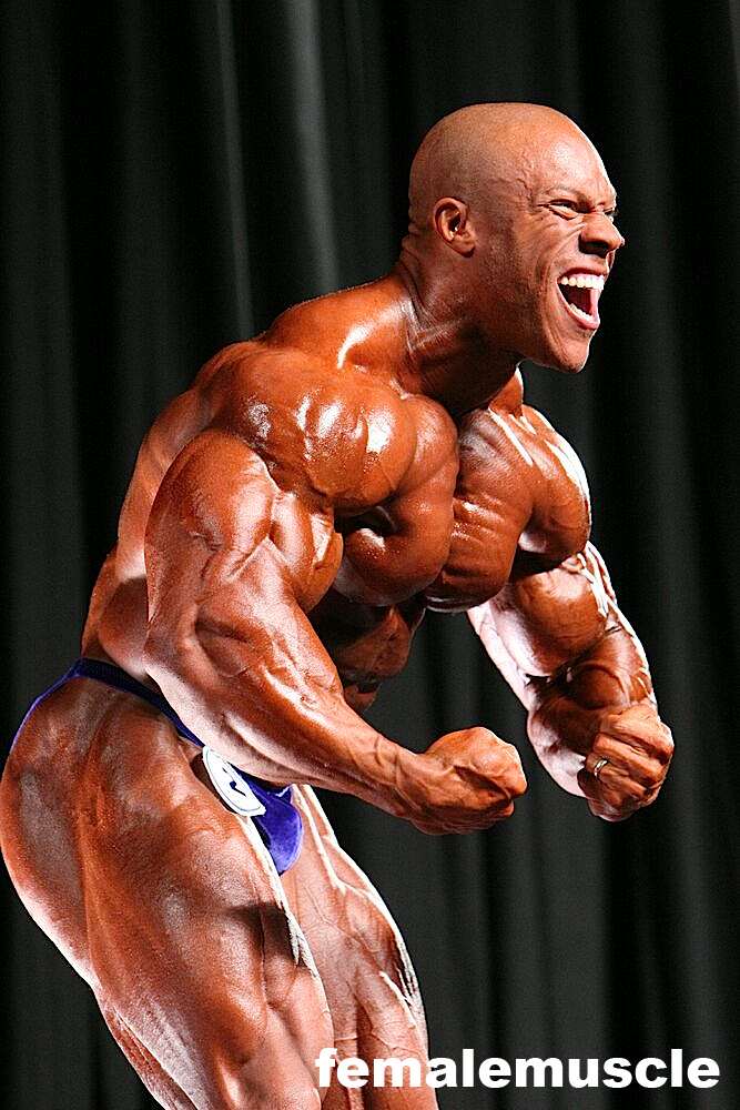 2010 Bodybuilding Images