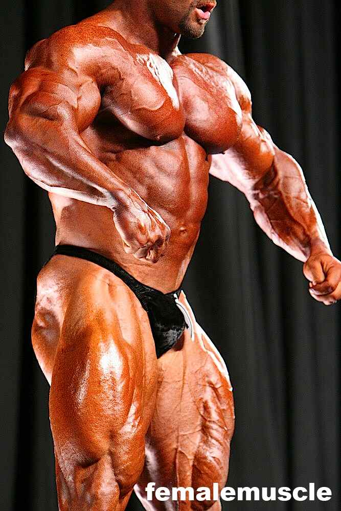 2010 Bodybuilding Images