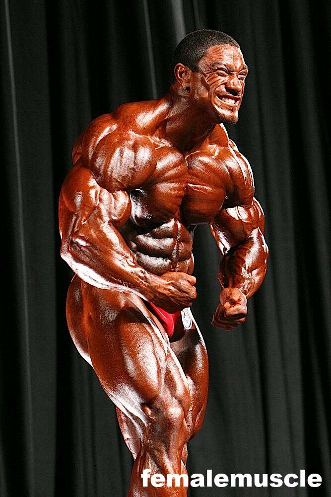 2010 Bodybuilding Images